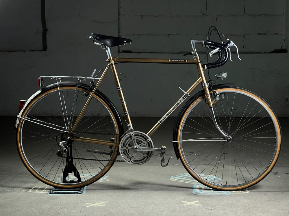 Batavus Sprint