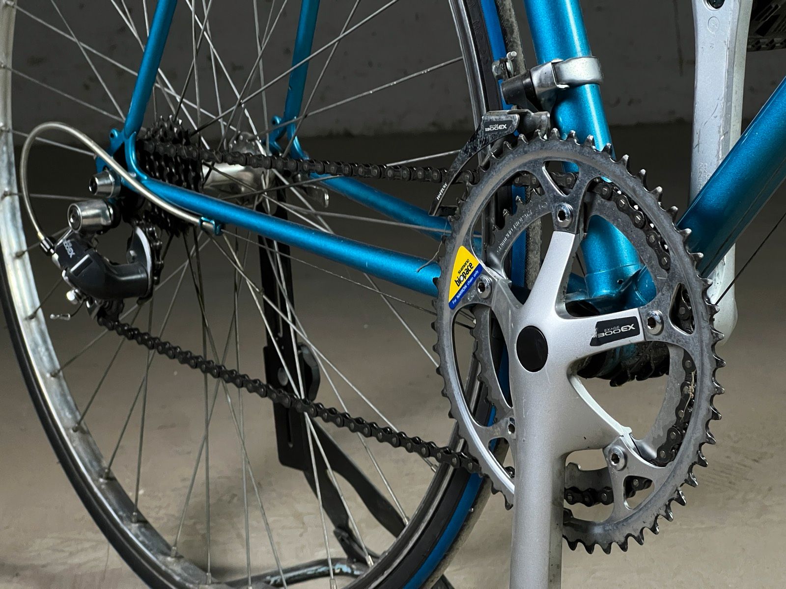 Batavus Champion Batavus Champion