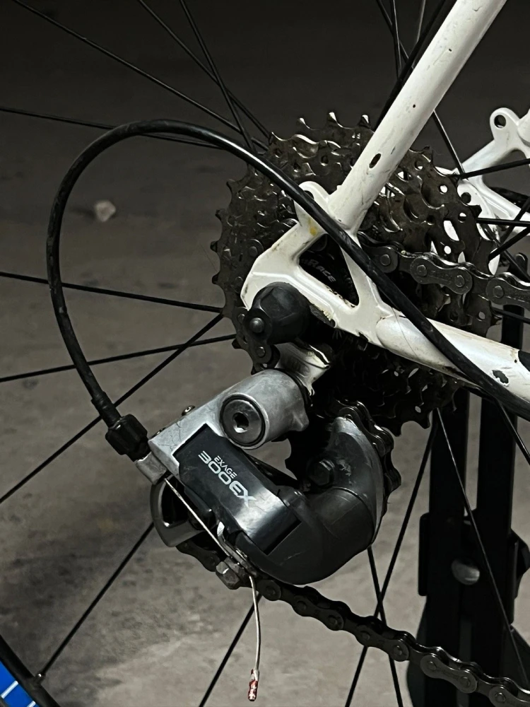 Gazelle Olympia Gazelle Olympia