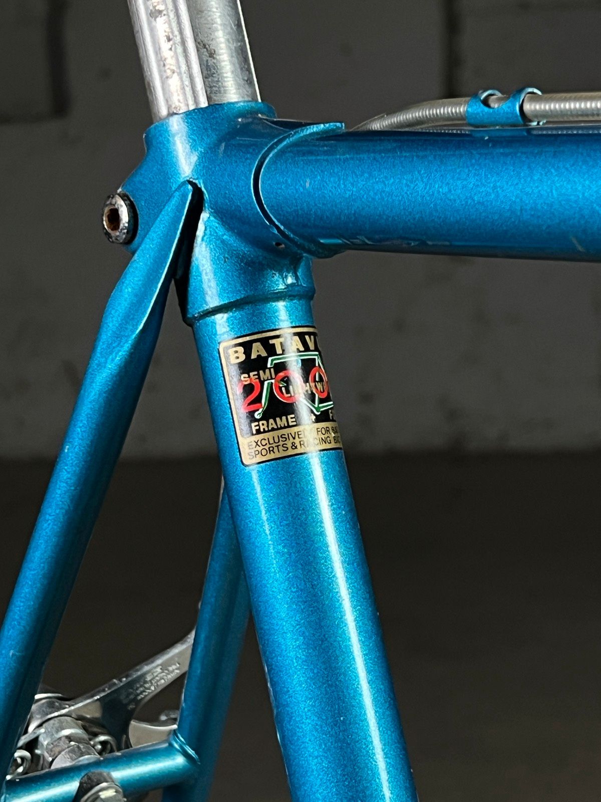 Batavus Champion Batavus Champion